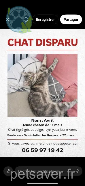 Kater vermisst 30340 Saint-Julien-les-Rosiers Avril Kater lost 30340 Saint-Julien-les-Rosiers Avril