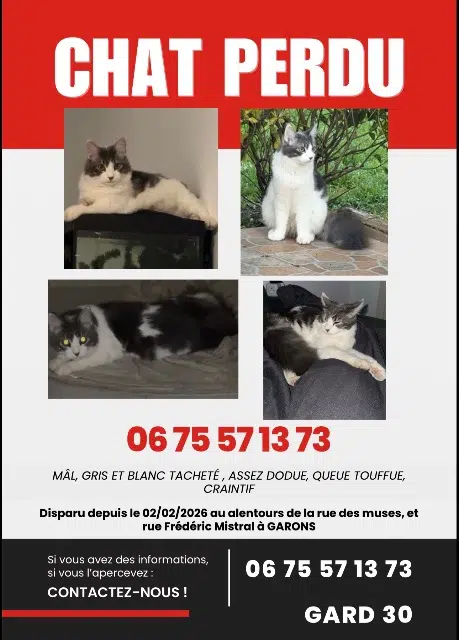 chat lost   30128 Garons My