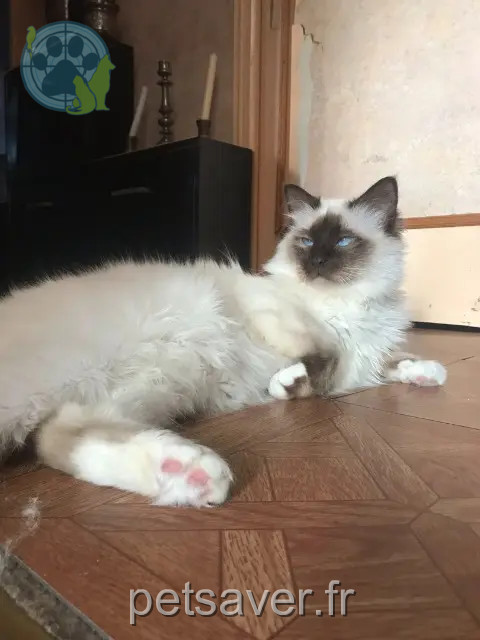 Paco