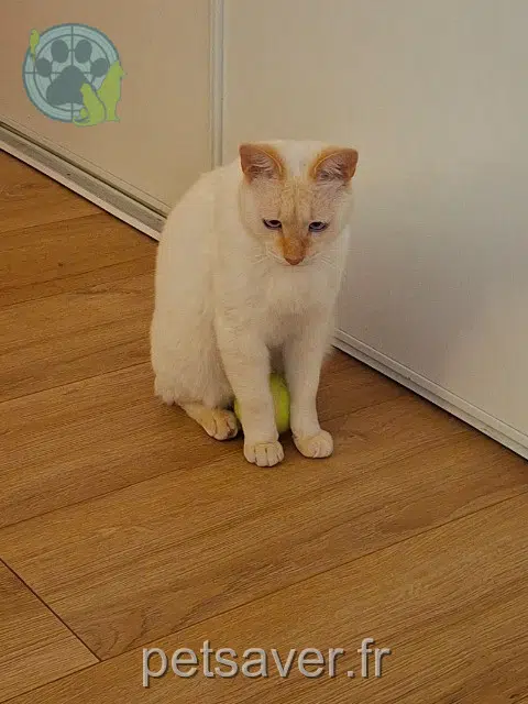 Milo