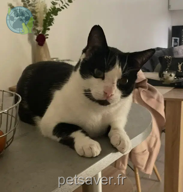 chat lost   31570 Lanta Pablo