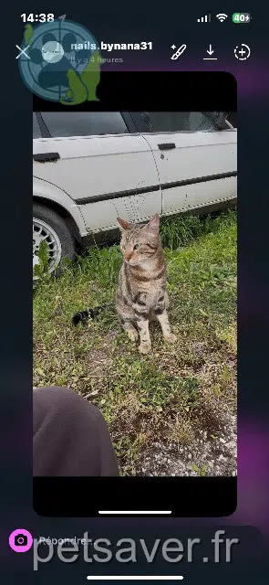 Rajah