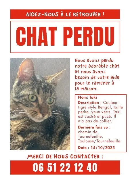chat lost   31770 Colomiers Taki