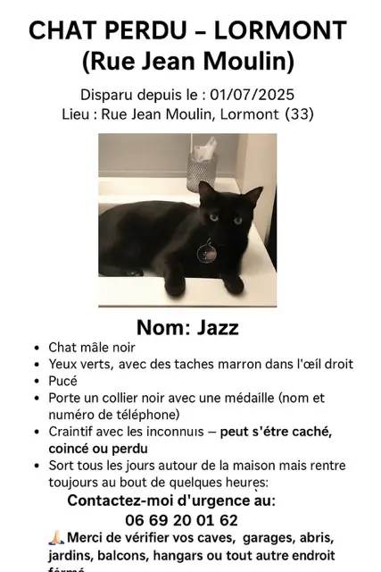 chat lost   33310 Lormont Jazz