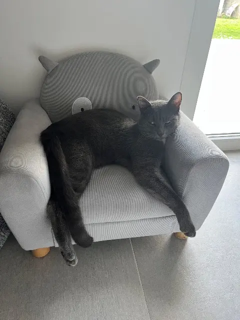 chat lost   33133 Galgon Wifi