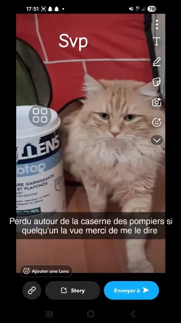 chat lost   34500 Béziers Chat