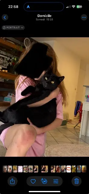 chat lost   34450 Vias Kevin