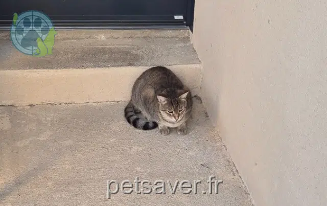 Mimi
