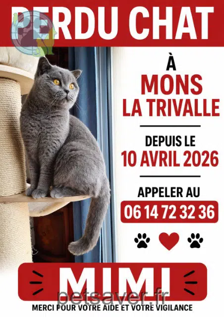 chat lost   34390 Mons Witchen
