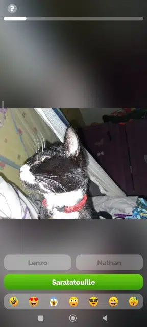 chat lost   35750 Iffendic Aaron