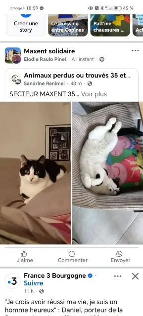 chat lost   35380 Maxent Strike