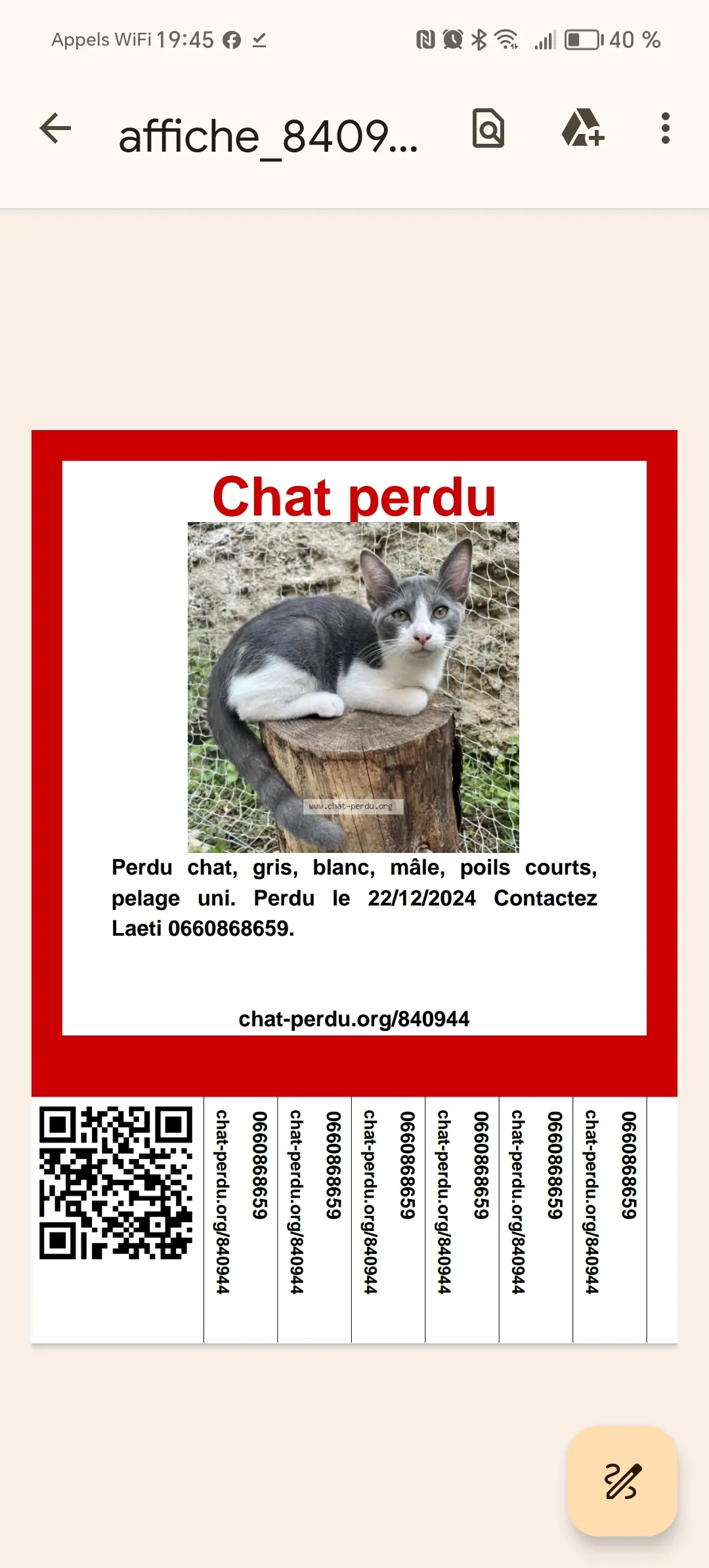 Chat Perdu 36 Indre