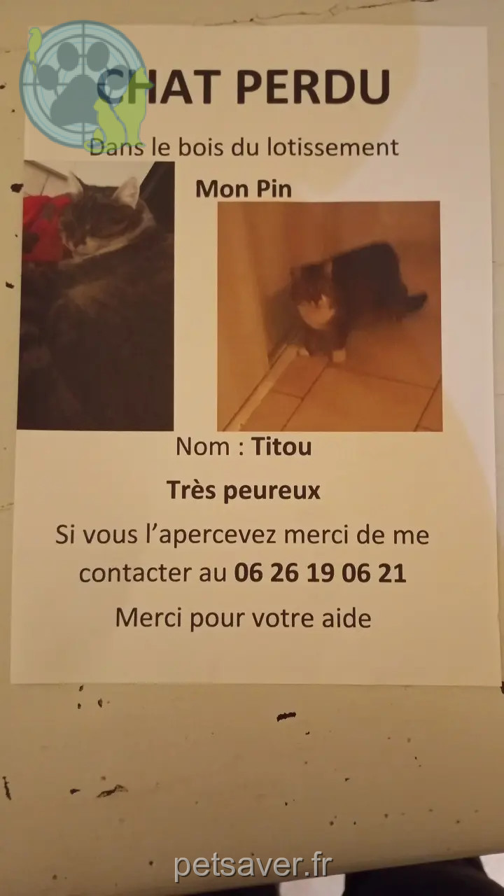 Kater vermisst D 51 36230 Sarzay Kater lost D 51 36230 Sarzay