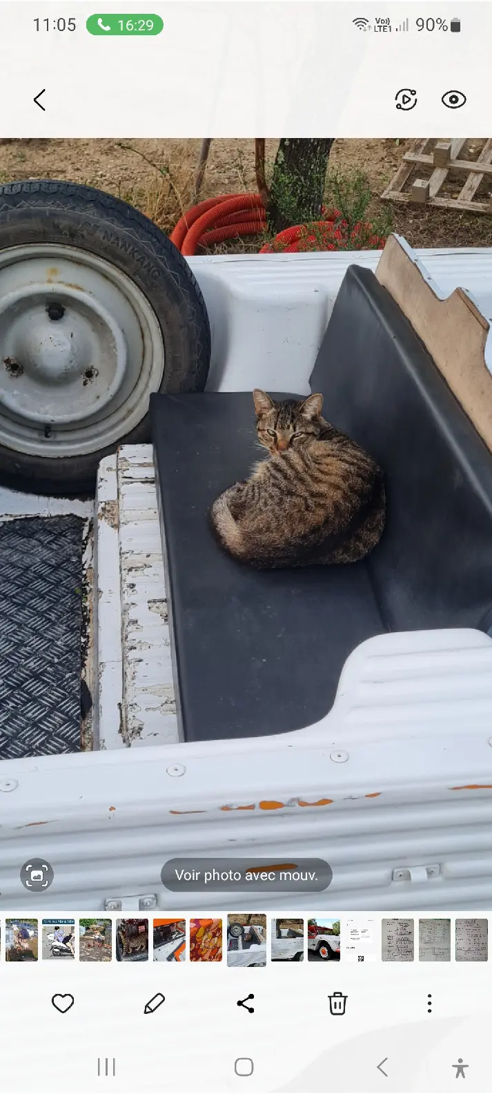 Chat Perdu 36 Indre - Marmouth Chat Perdu 36 Indre - Marmouth
