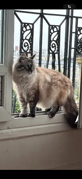 Chat Perdu 36 Indre - Netflix Chat Perdu 36 Indre - Netflix