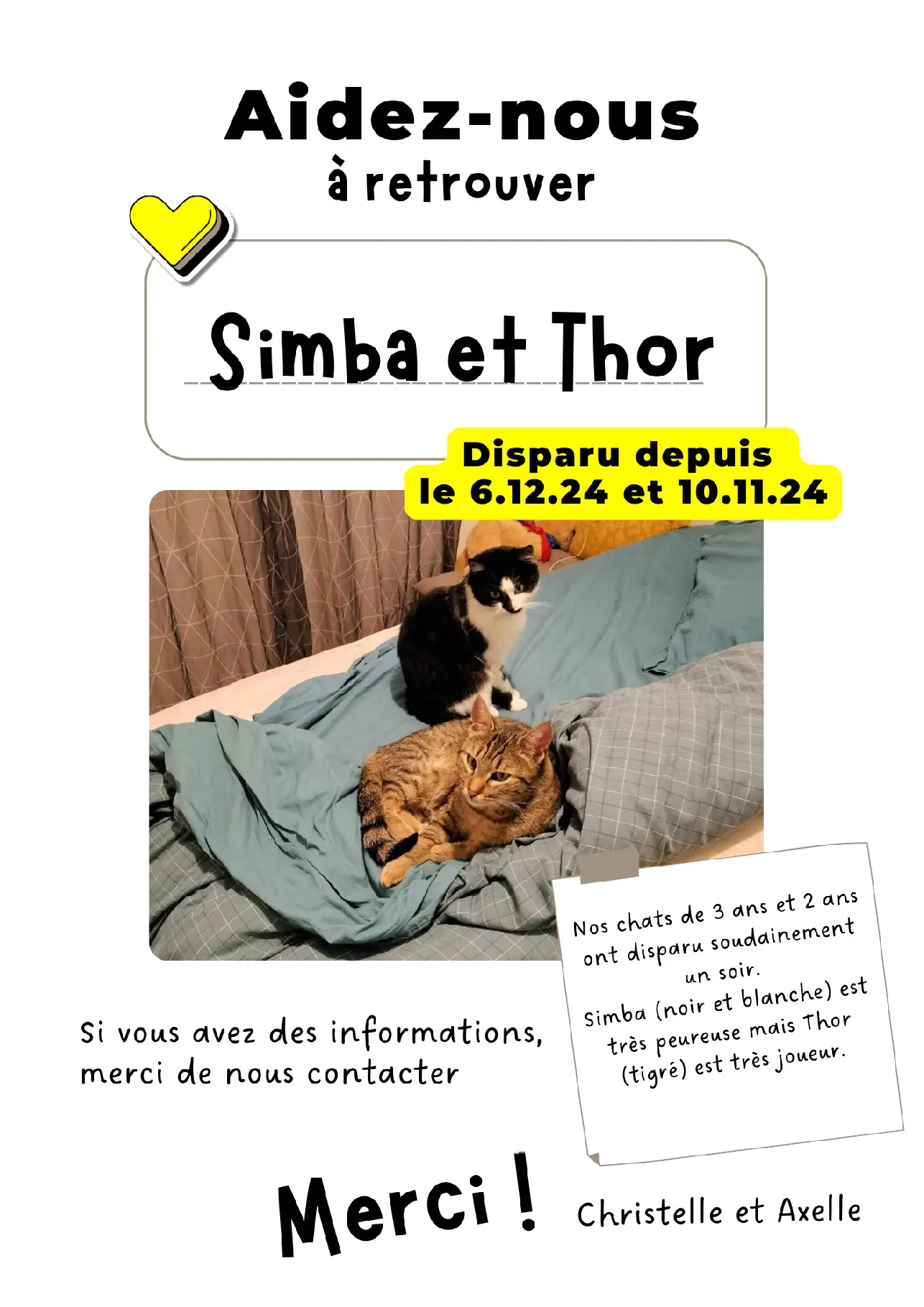 Chat Perdu 36 Indre - Thor-et-simba