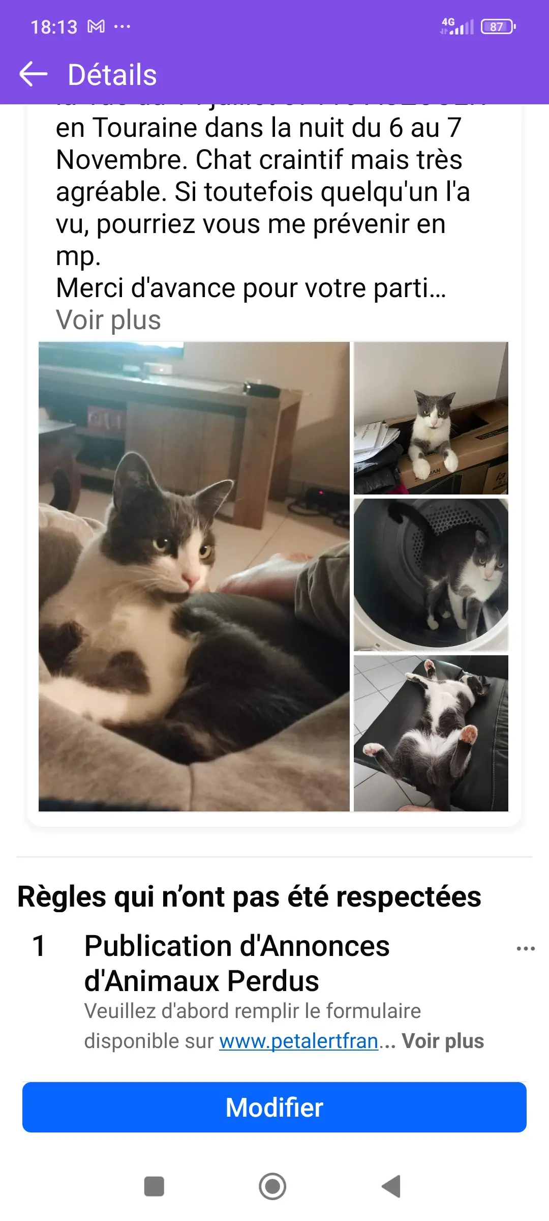 Chat Perdu 36 Indre Chat Perdu 36 Indre