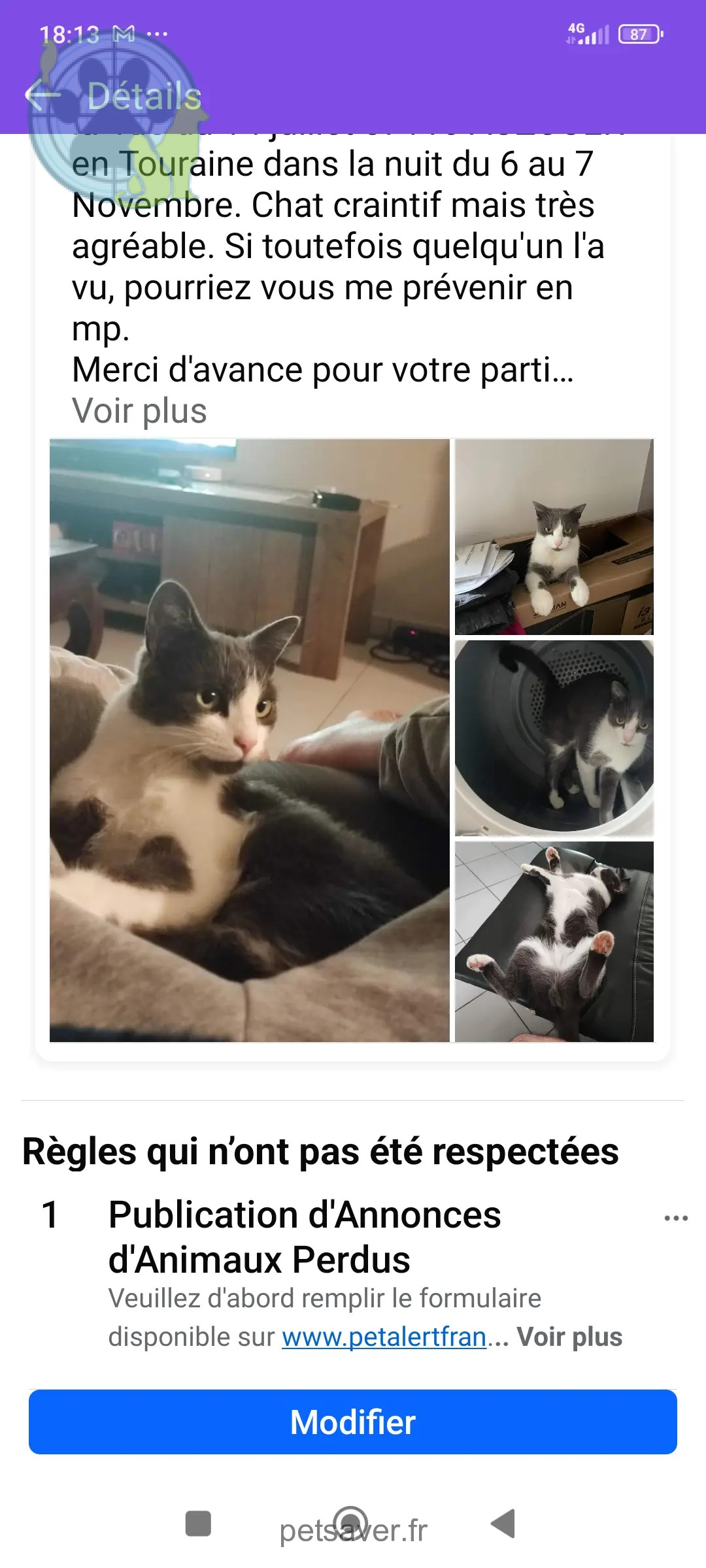 Chat Perdu 36 Indre Chat Perdu 36 Indre