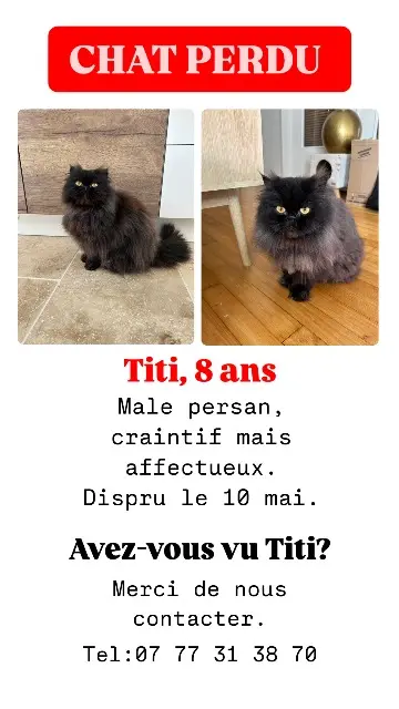 chat lost    Tours Titi