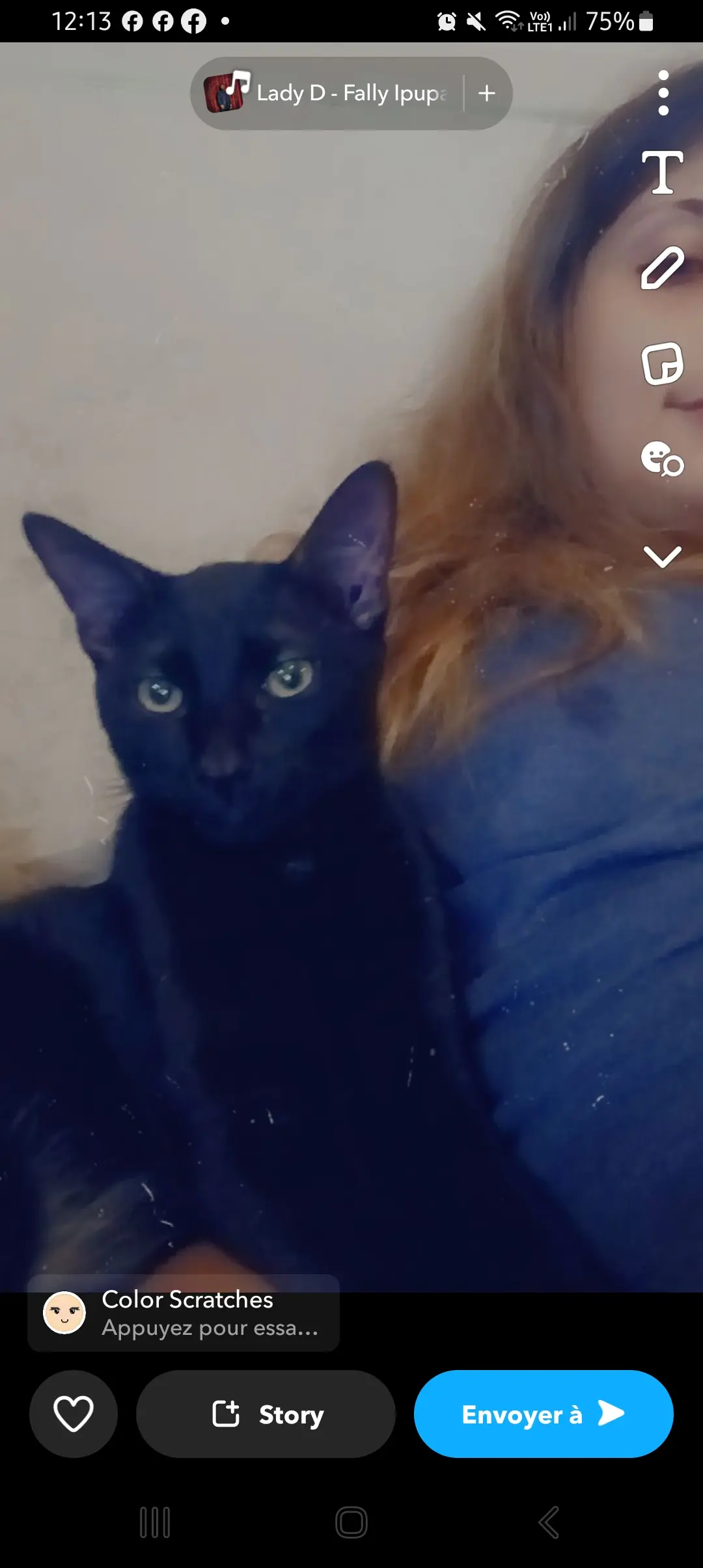 Chat Perdu 38 Isère Chat Perdu 38 Isère