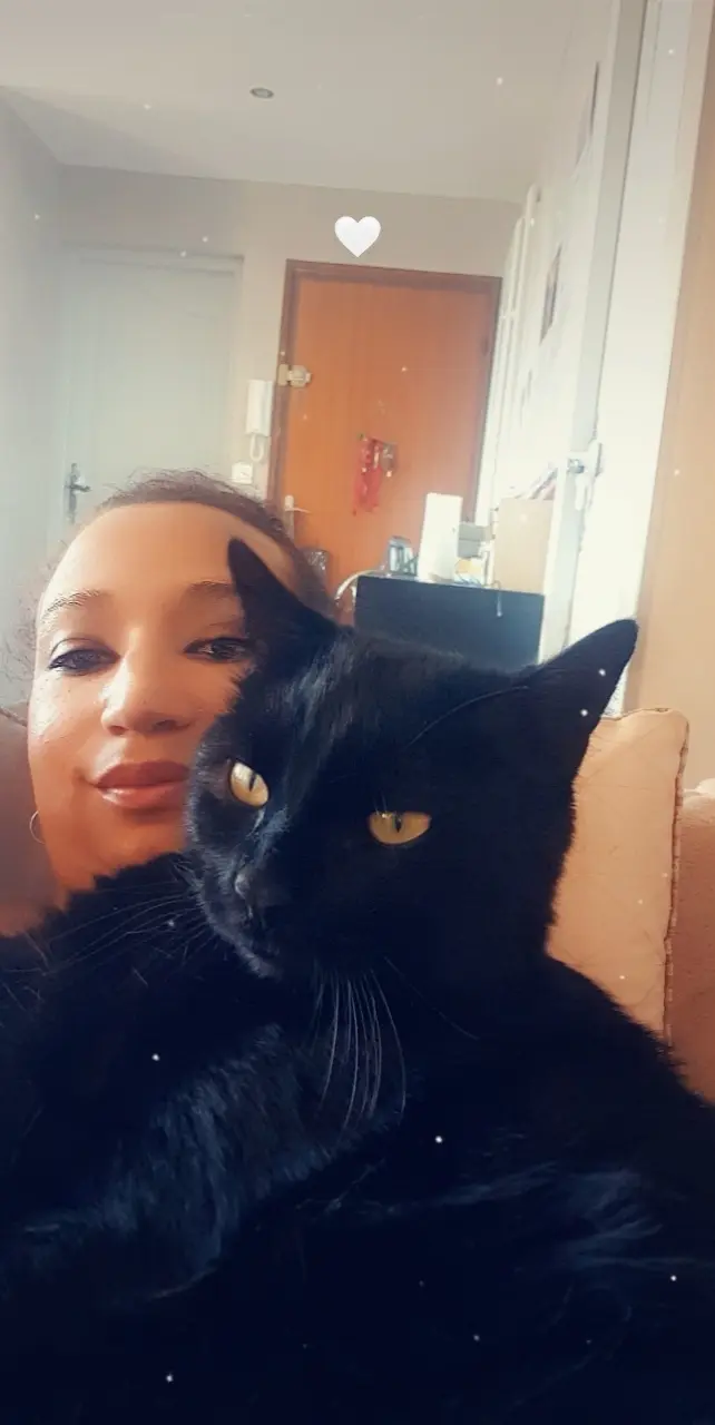 Chat Perdu 38 Isère - Pogba Chat Perdu 38 Isère - Pogba