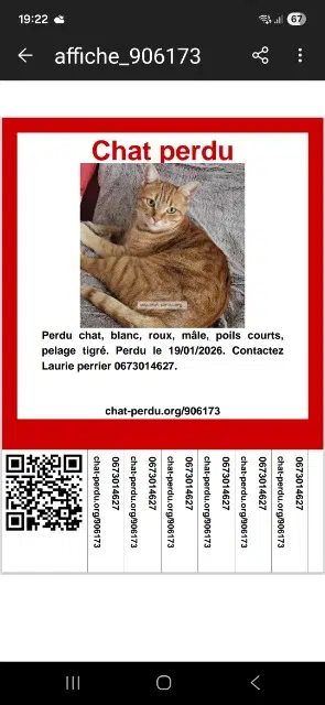 chat lost    Villages du Lac de Paladru Charly