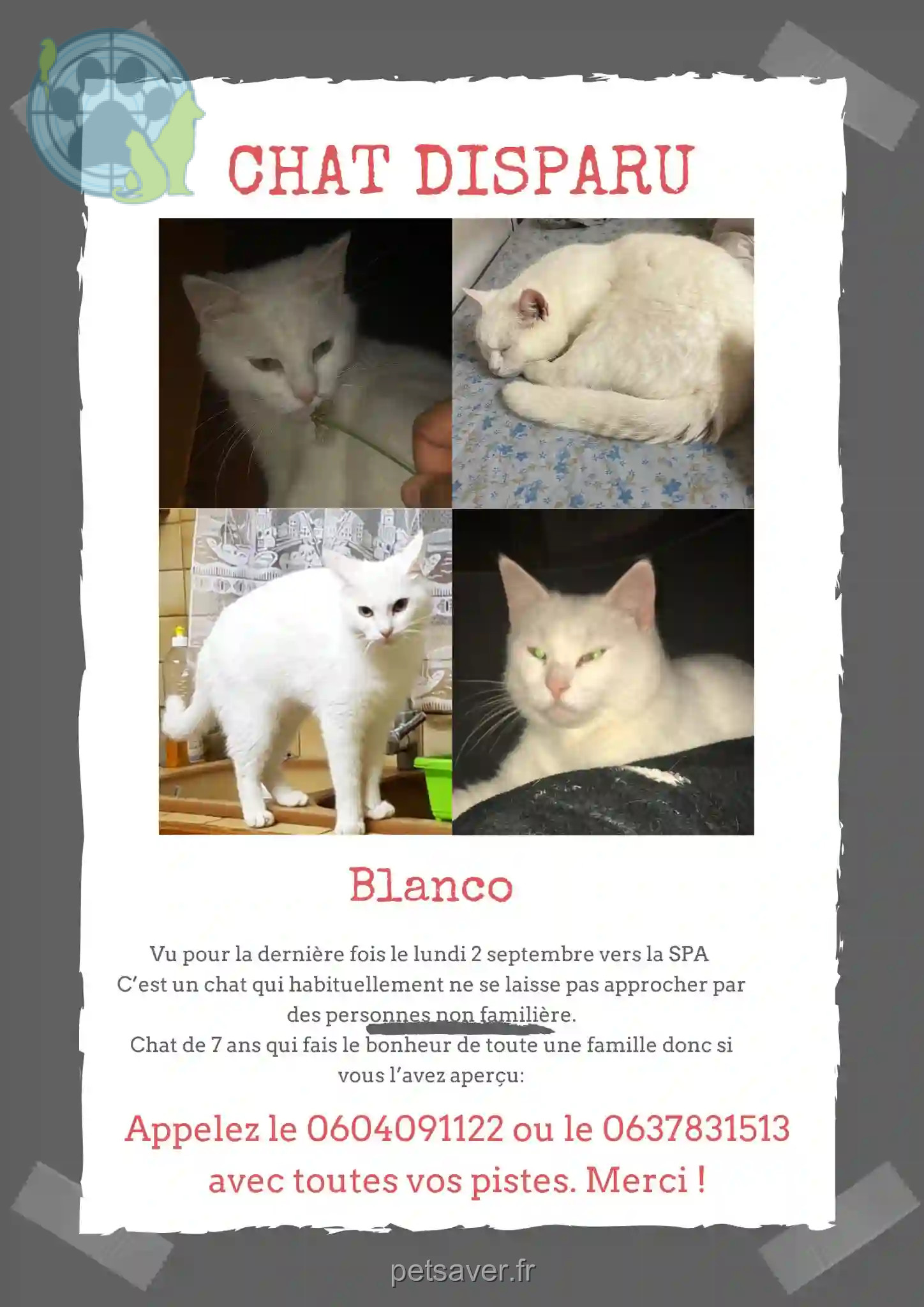Chat Perdu 40 Landes - Blanco Chat Perdu 40 Landes - Blanco