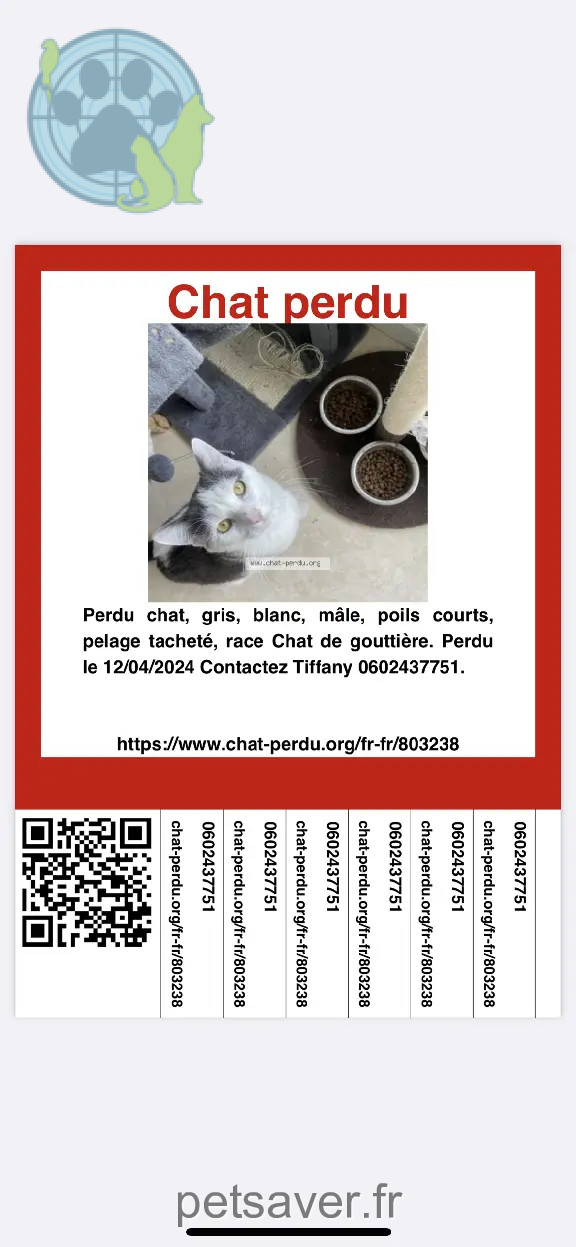 Chat Perdu 40 Landes - Tiako Chat Perdu 40 Landes - Tiako