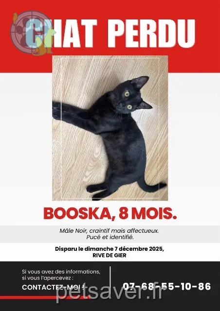 kater vermist 42800 Rive-de-Gier Booska kater lost 42800 Rive-de-Gier Booska