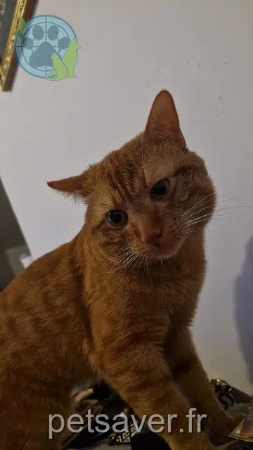 Kater lost    Saint-Étienne Migos