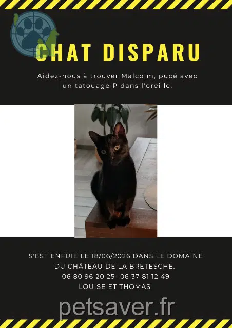 chat lost   44780 Missillac Malcolm