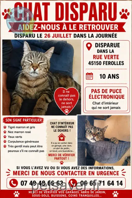 chat lost 45150 Férolles Vodka