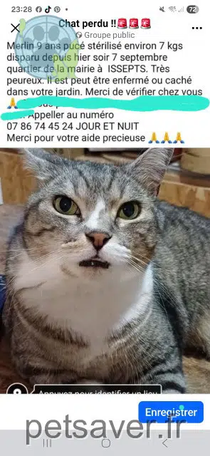 chat lost 46320 Issepts Merlin