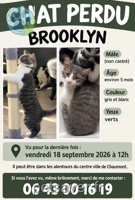 Brooklyn