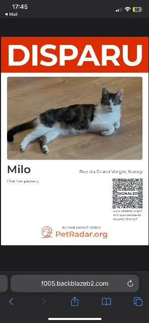 chat lost    Nancy Milo