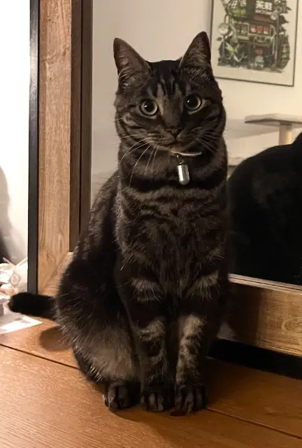 chat lost    Nancy Popcorn