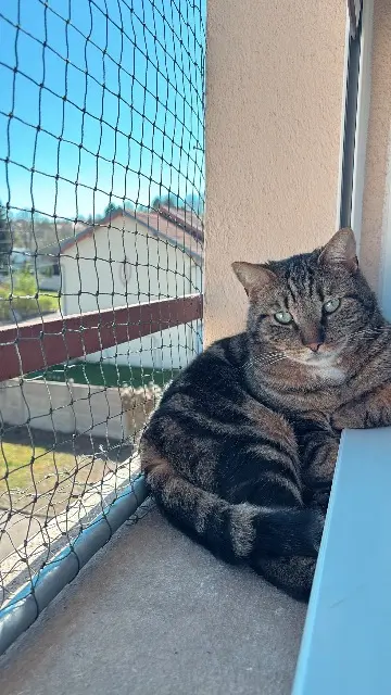 chat lost    Nancy Thao