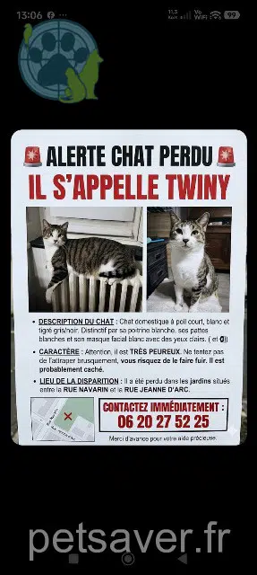 chat perdu 54200 Toul Twiny chat lost 54200 Toul Twiny
