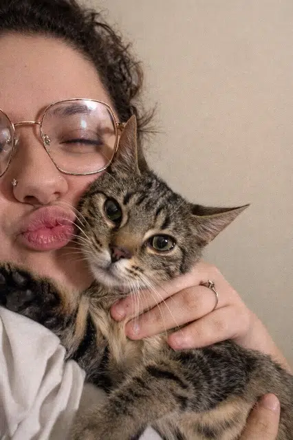 chat lost   55120 Clermont-en-Argonne Ice