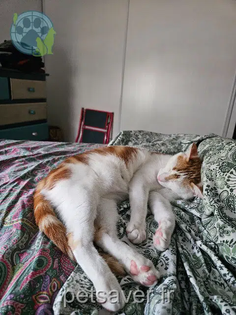 Dexter