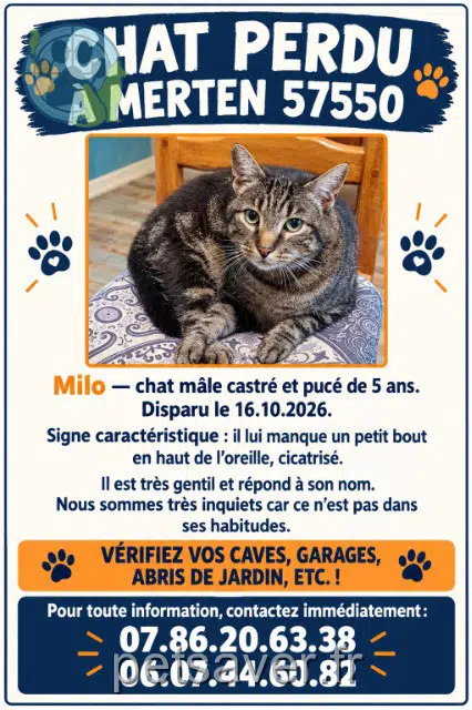 chat lost 57550 Merten Milo