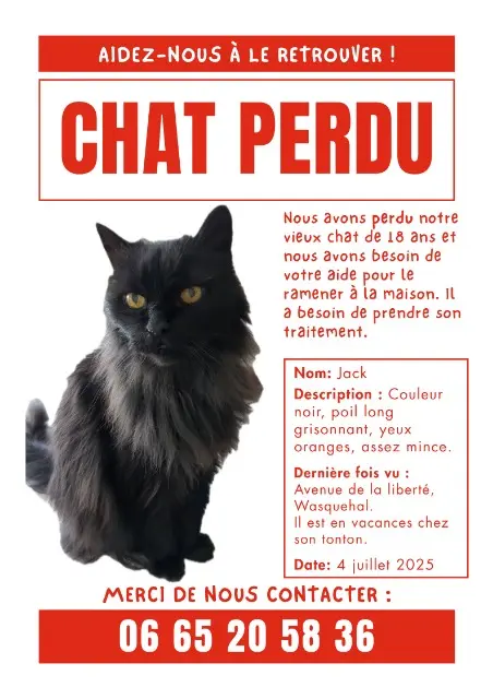 chat lost   59290 Wasquehal Jack