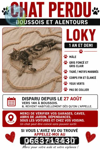chat perdu 59168 Boussois Loky chat lost 59168 Boussois Loky