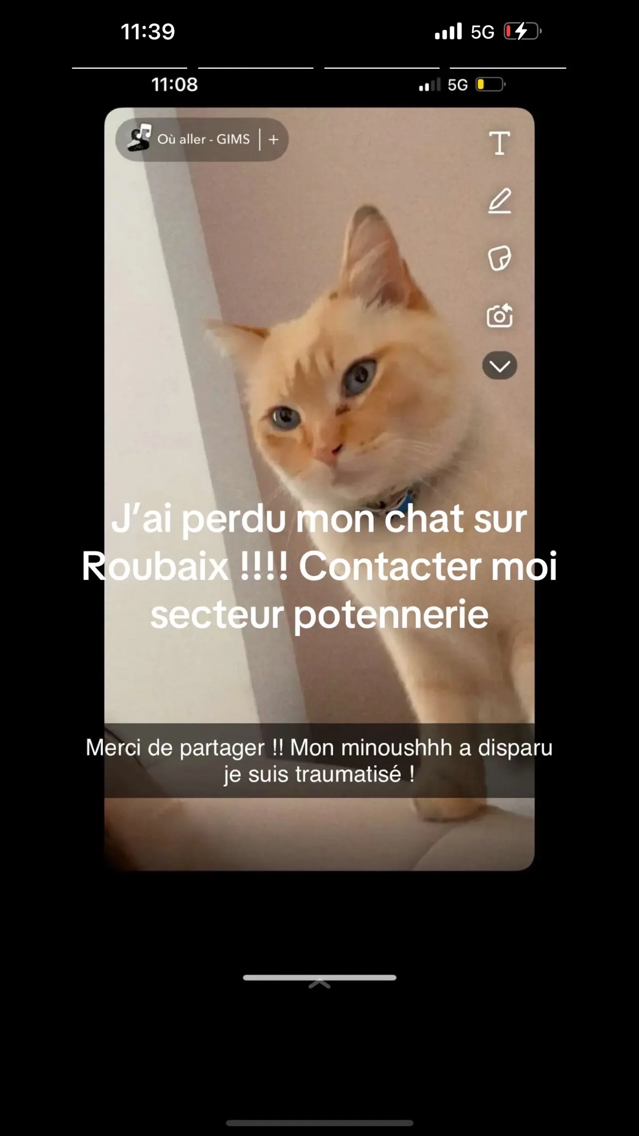 Chat Perdu 59 Nord - Snoop Chat Perdu 59 Nord - Snoop