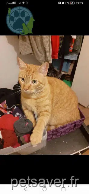 kater lost   62600 Berck Astro