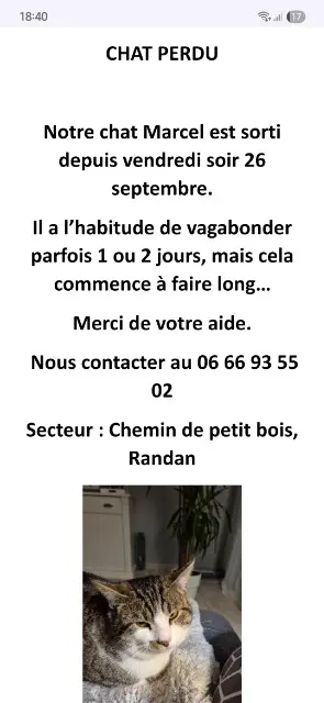 chat lost   63310 Randan Marcel