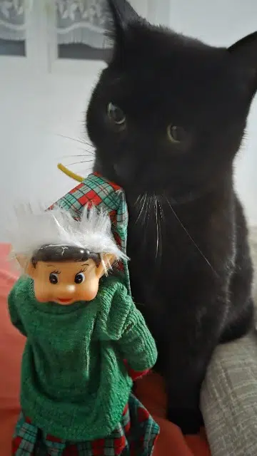 chat lost   64480 Ustaritz Kickass