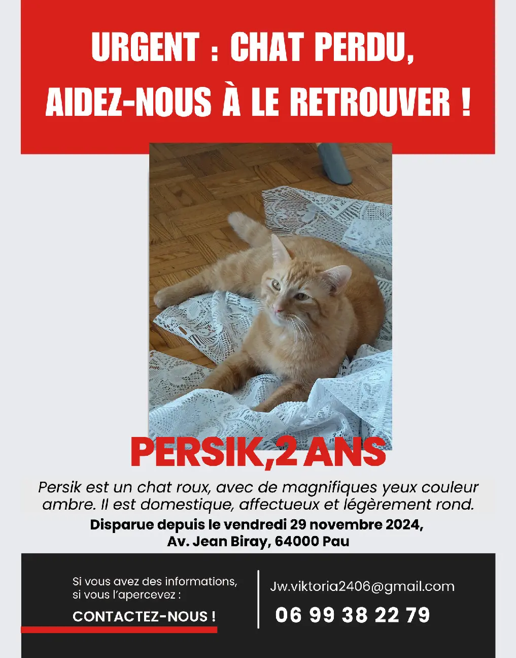 Chat Perdu 64 Pyrénées-Atlantiques - Persik Chat Perdu 64 Pyrénées-Atlantiques - Persik