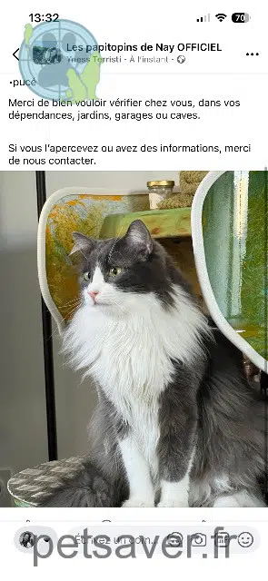chat lost   64800 Nay Winston
