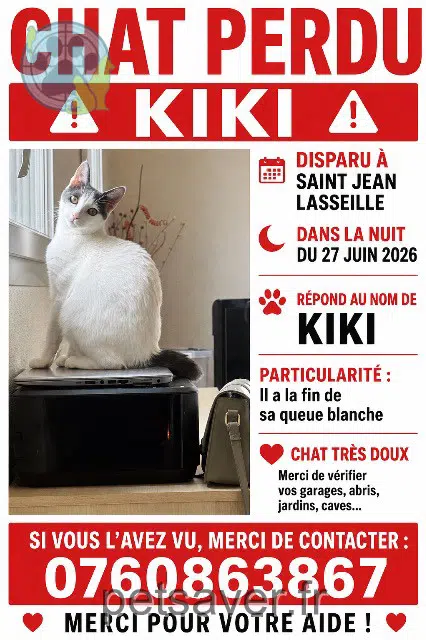 chat lost   66300 Saint-Jean-Lasseille Kiki